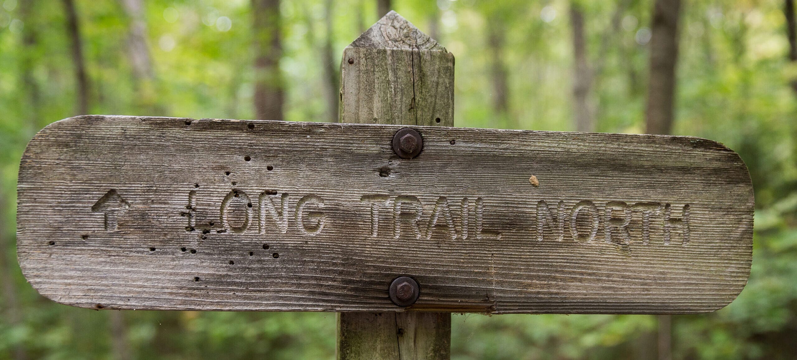 A wooden sign that says long trail north.