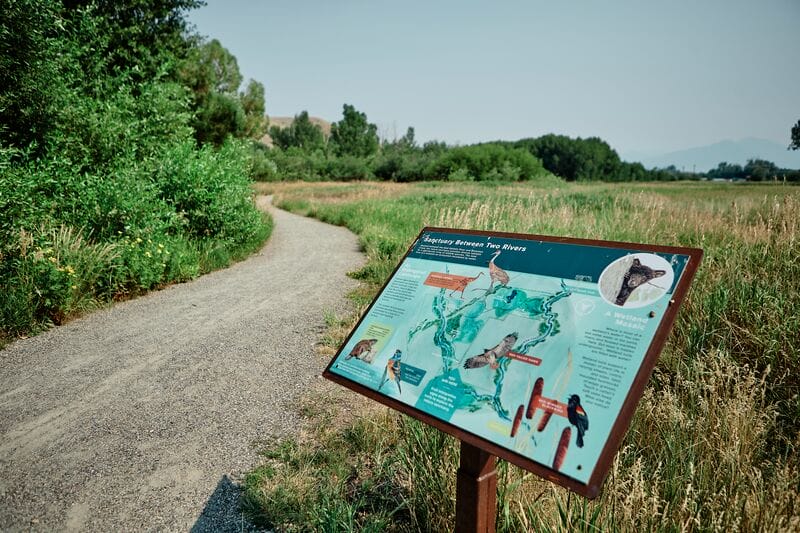 A sign with information about a trail in a grassy area.