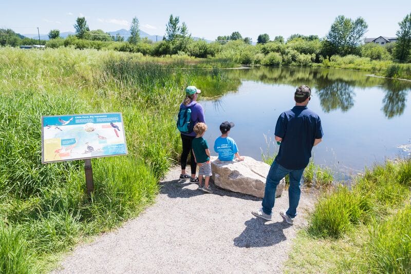 A group of people looking at a pond with a sign.