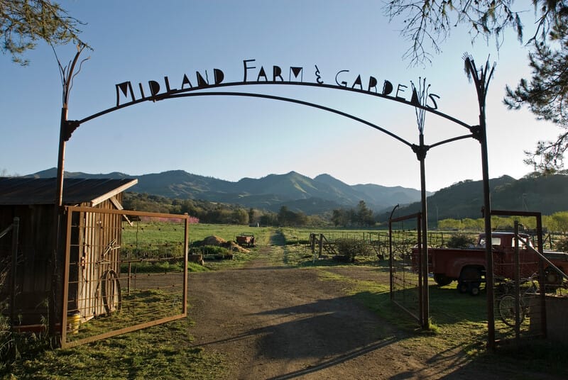 Midland School featured image