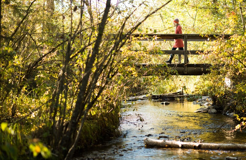 Trumbull Creek featured image