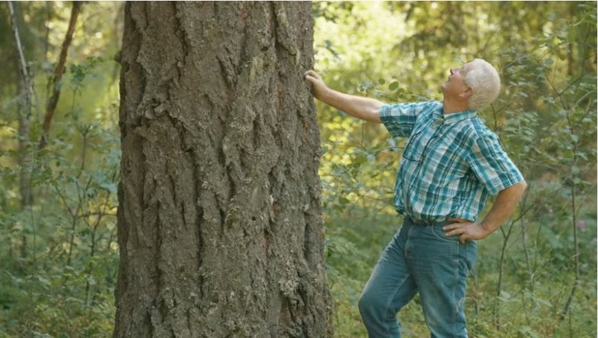 A man reaching for a tree in the woods.