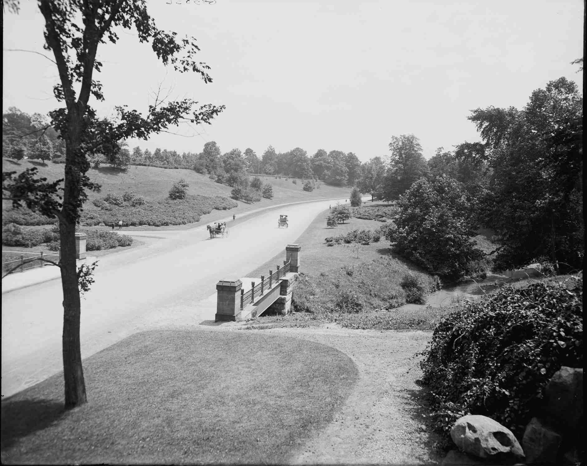 A black and white photo of a road in a park.