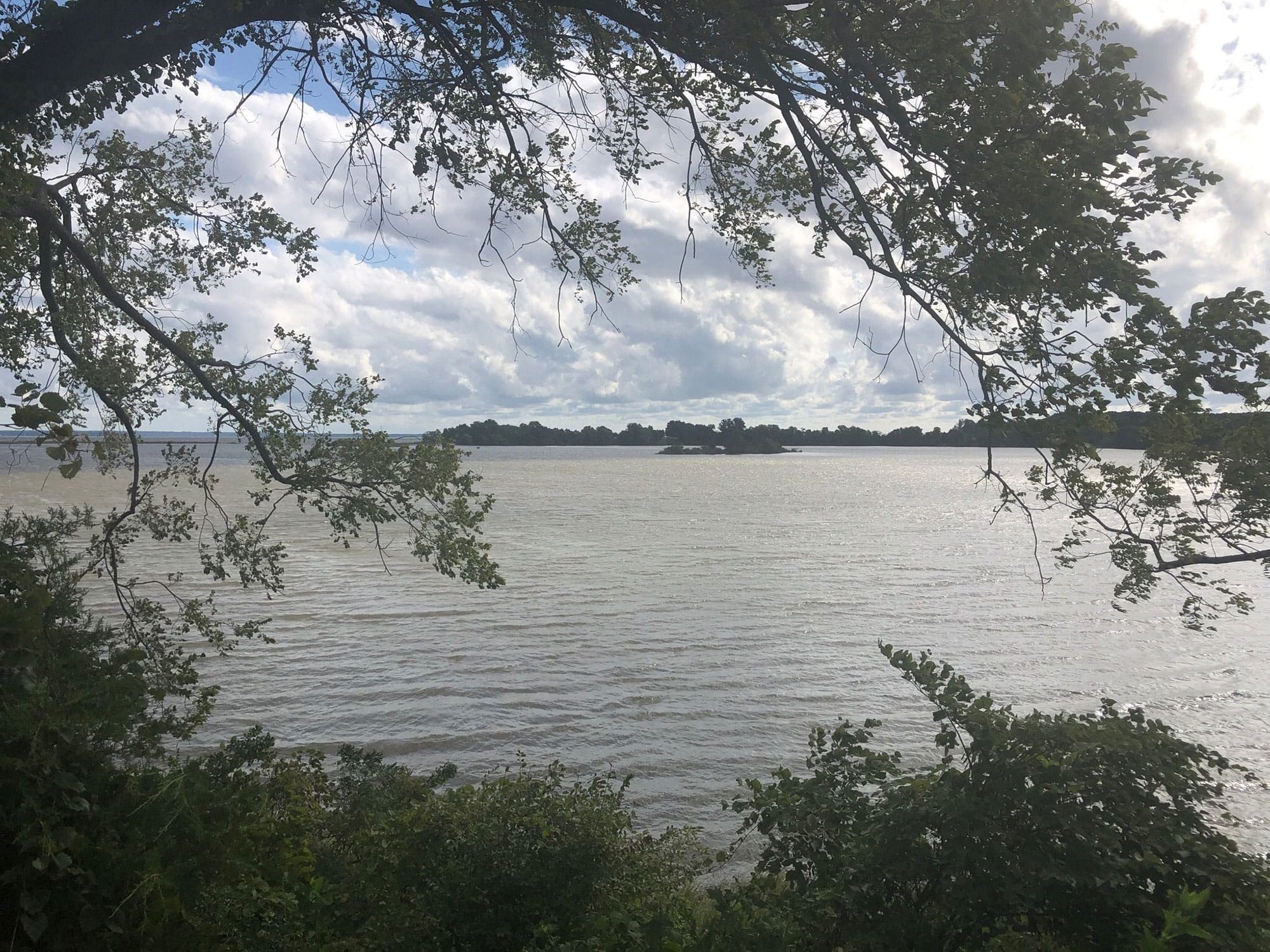 A large body of water is seen through a tree.