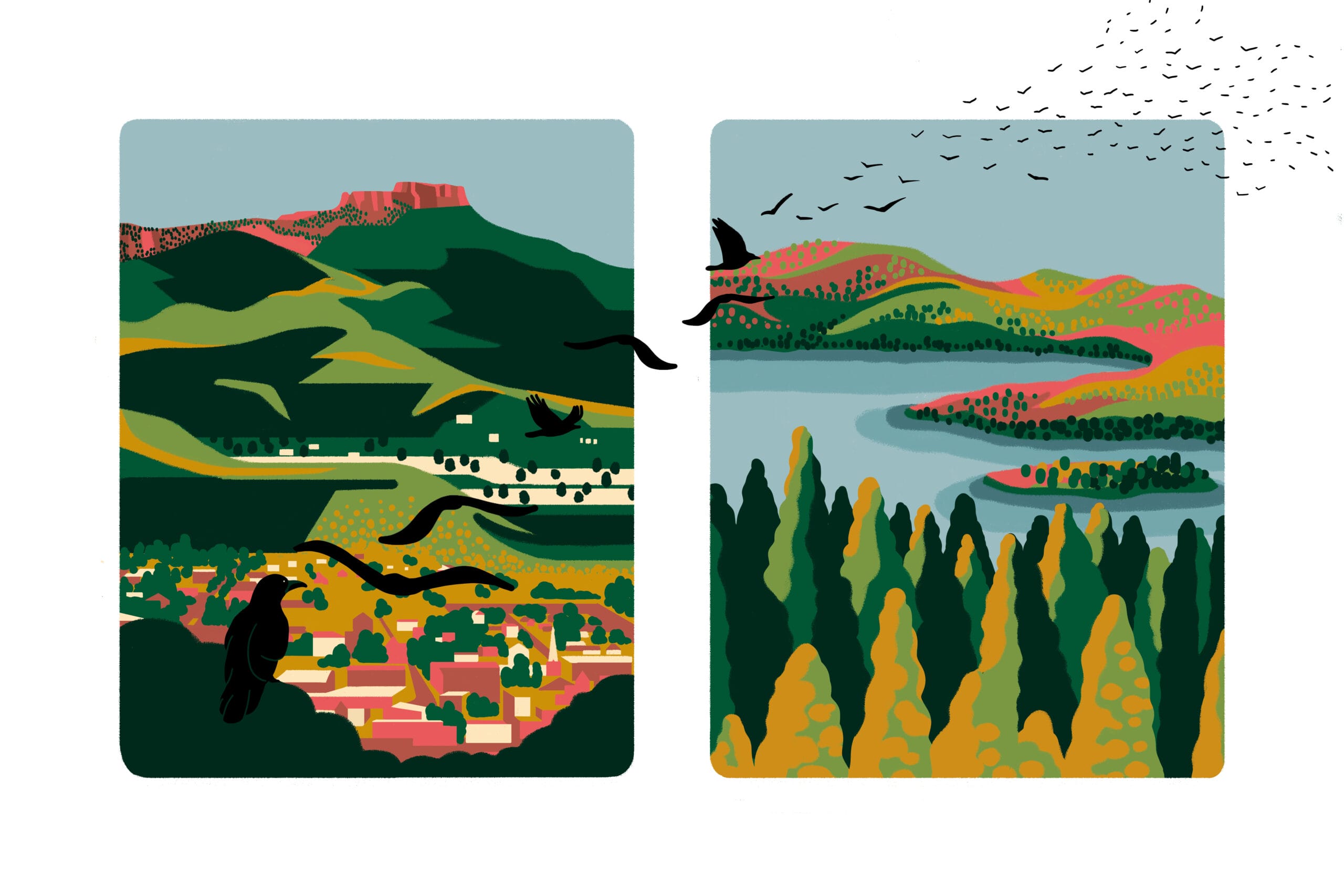 Two illustrations of birds flying over a landscape.