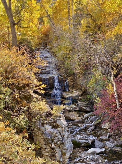 A stream surrounded by colorful autumn foliage.