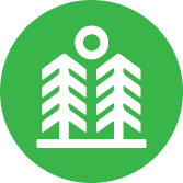 A green circle with two trees in it.