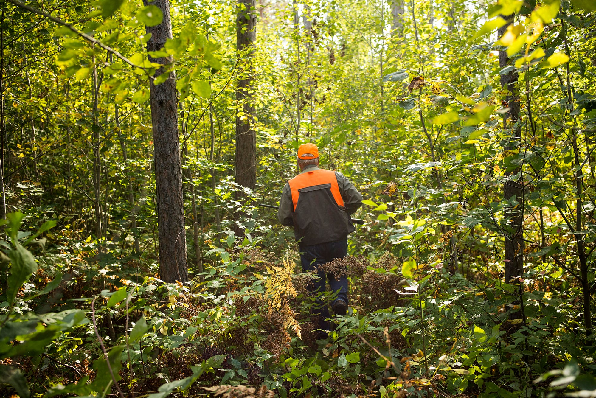 A hunter walking through a wooded area.