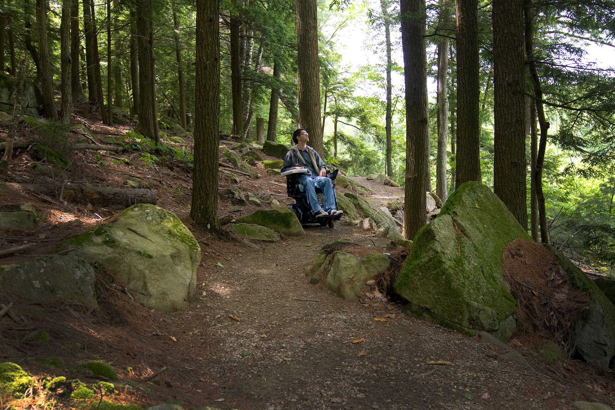 A person in a wheelchair on a trail in the woods.