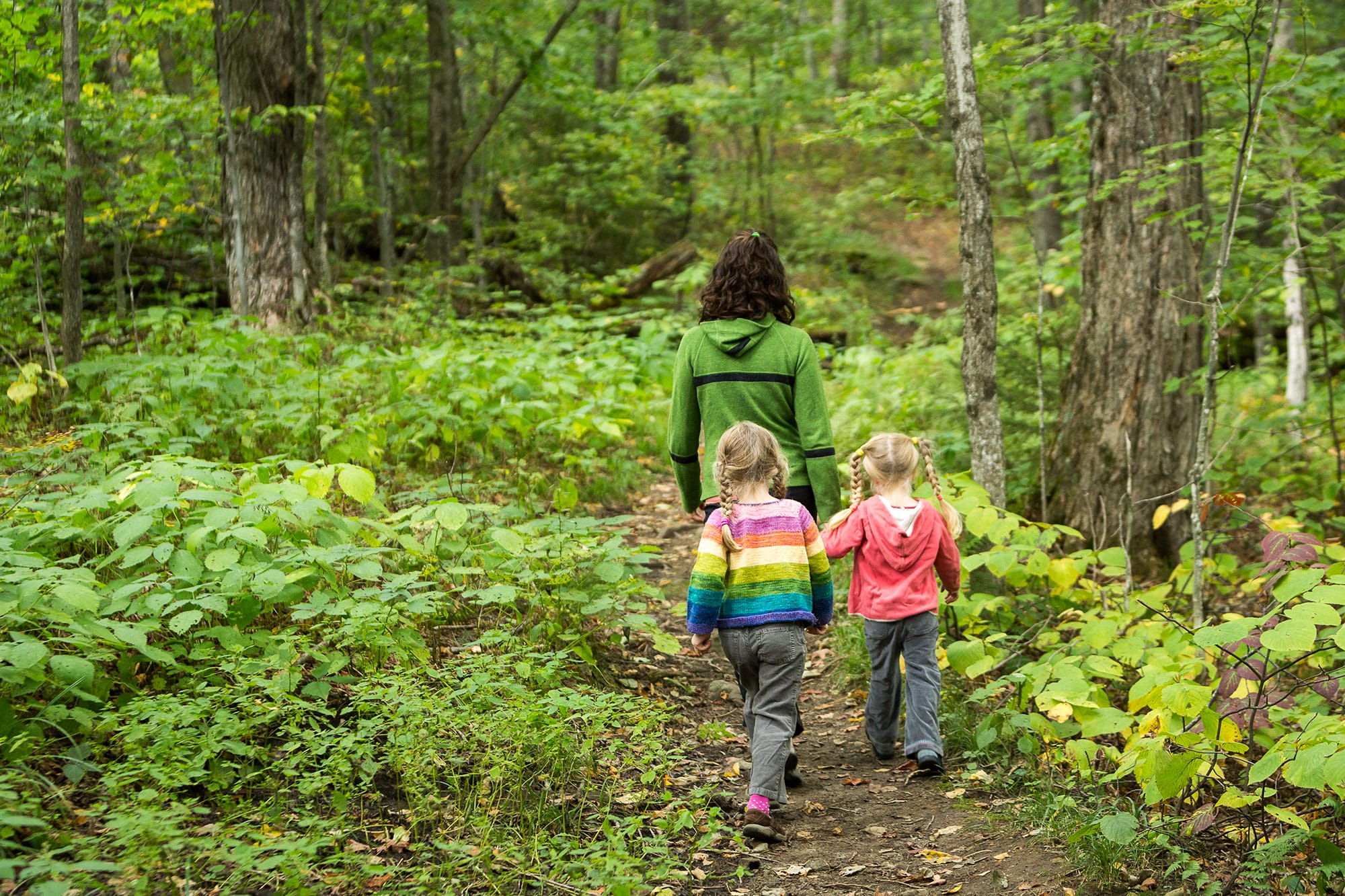 A woman and two children walking down a trail in the woods.