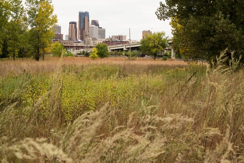 A grassy field with a city skyline in the background.