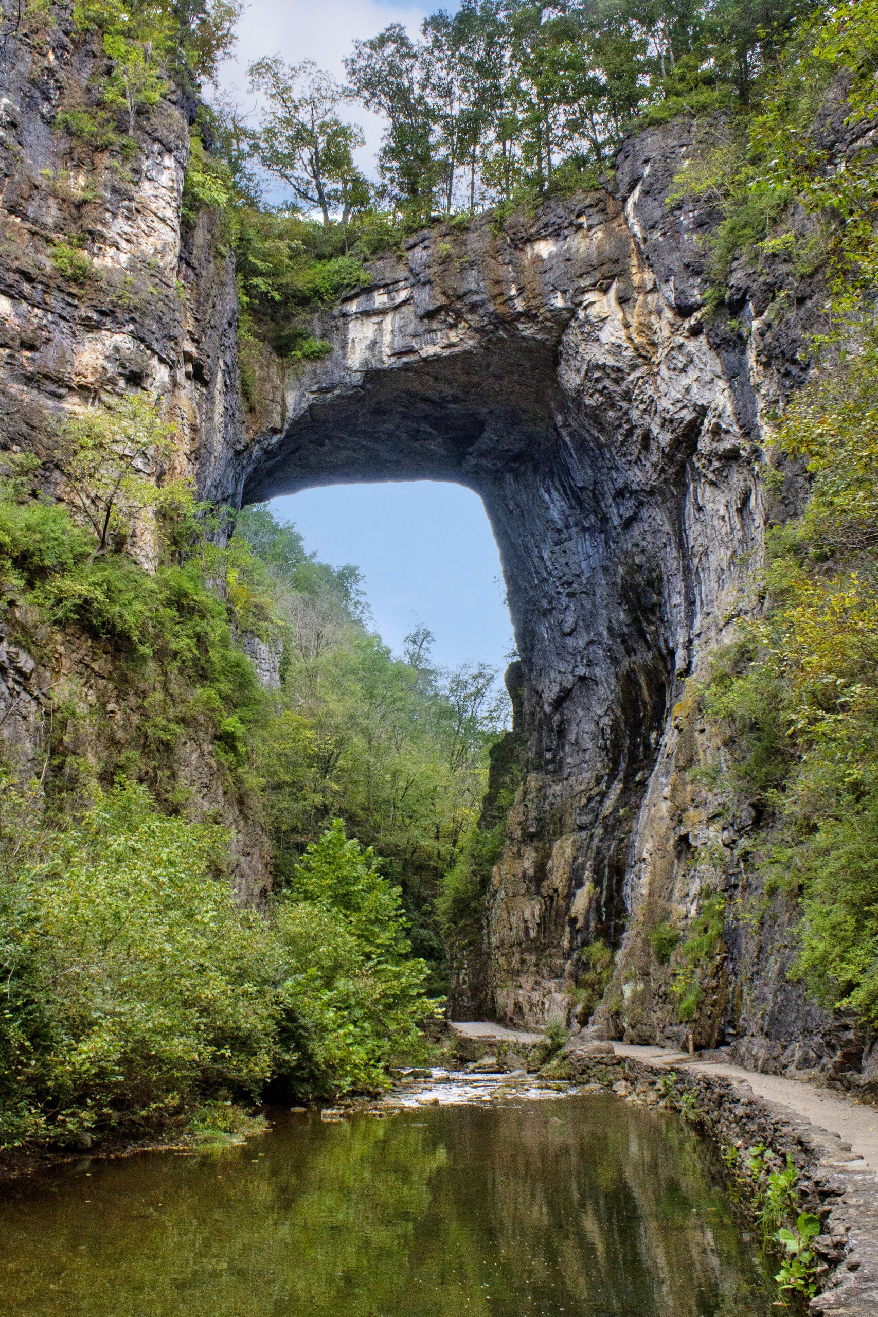 A large rock arch in the middle of a forest.