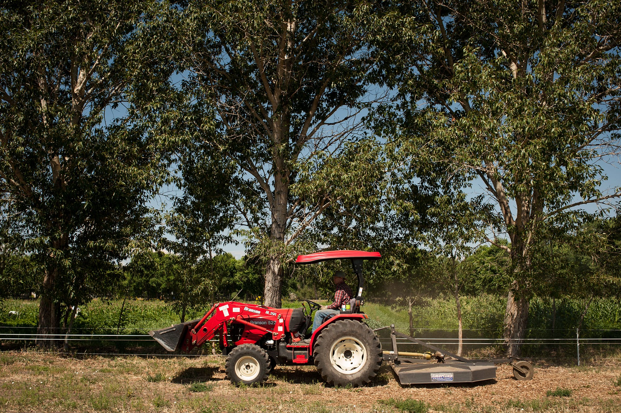 A red tractor parked in a field.