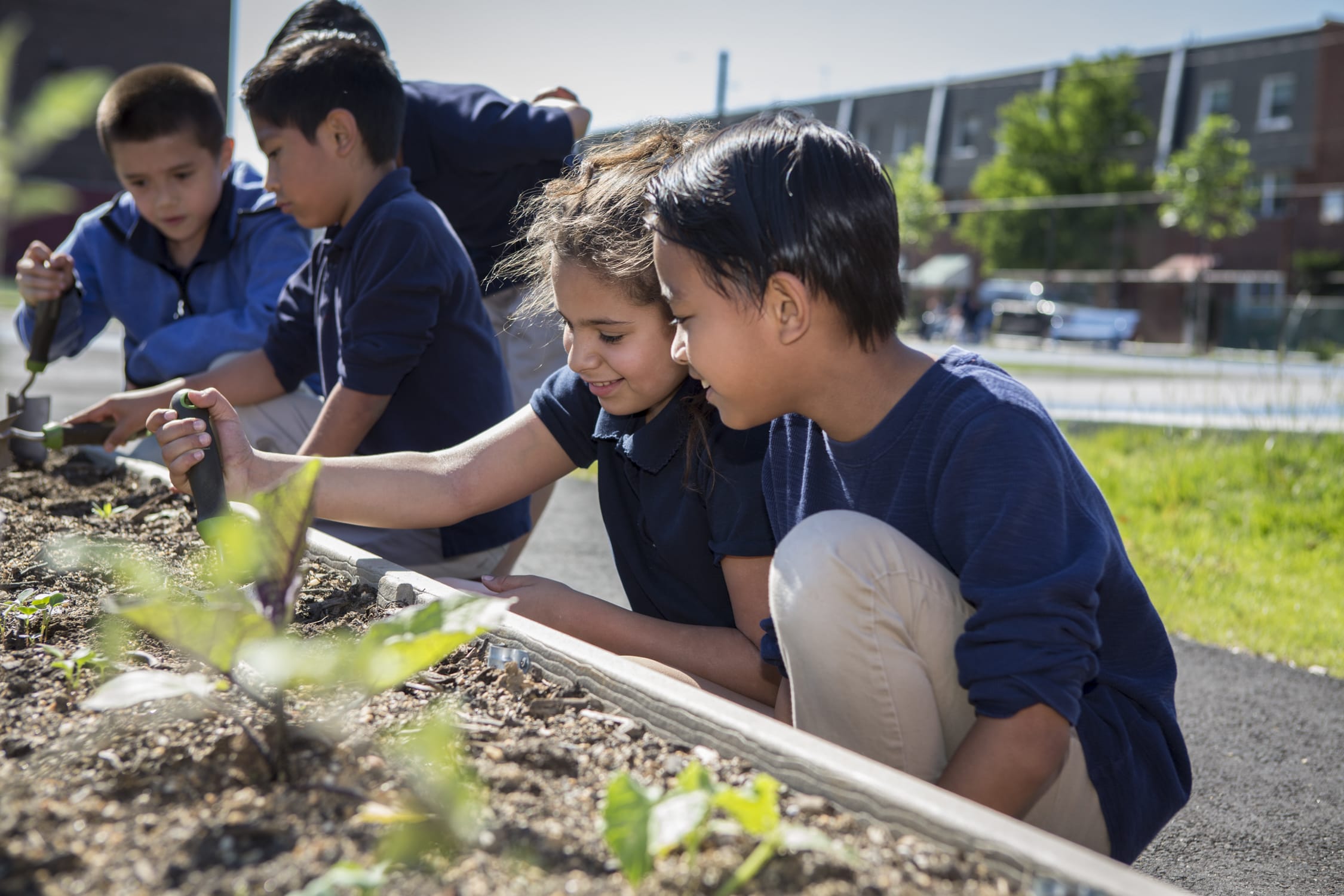 A group of children are planting vegetables in a garden.