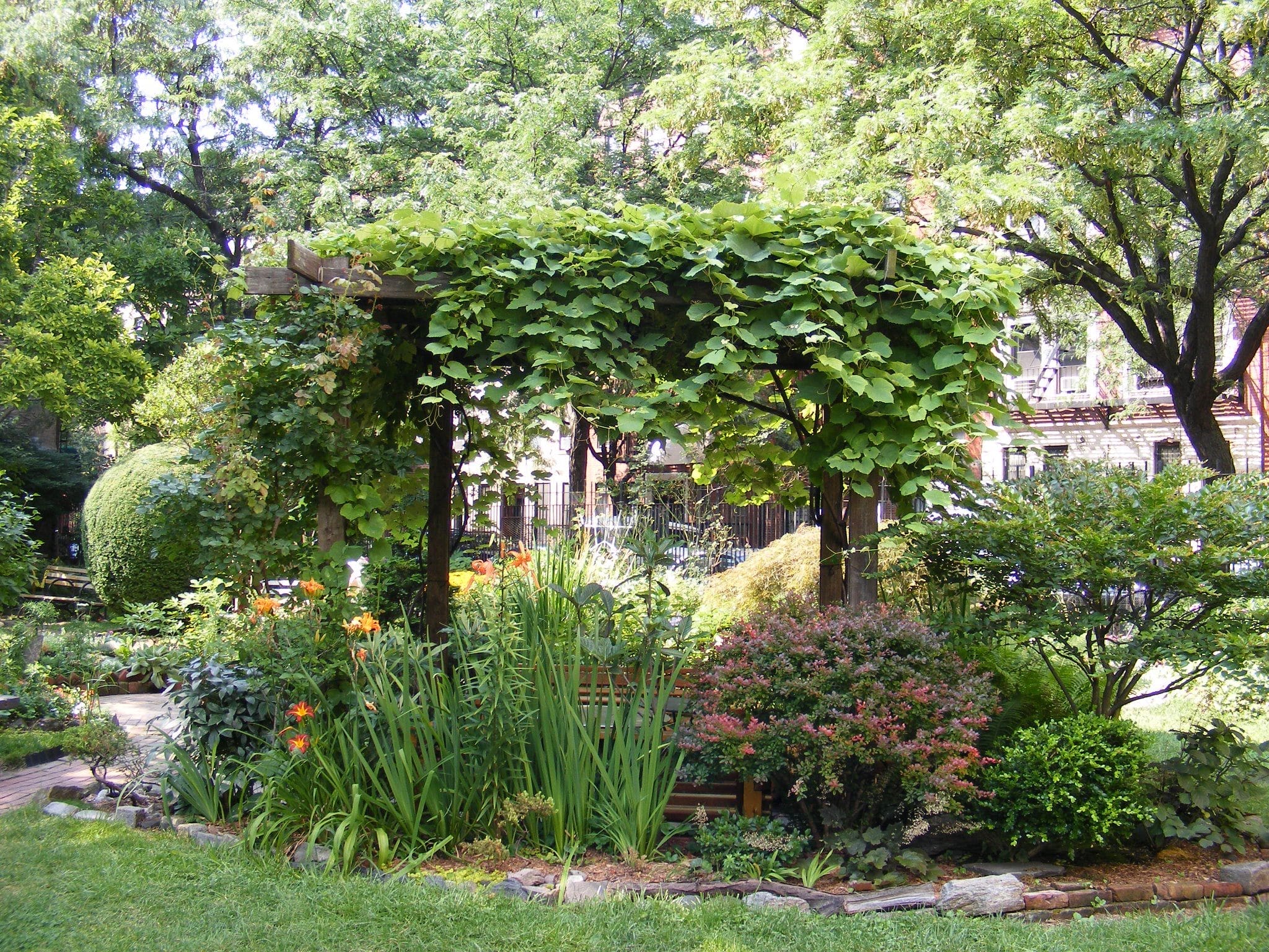 Clinton Community Garden featured image