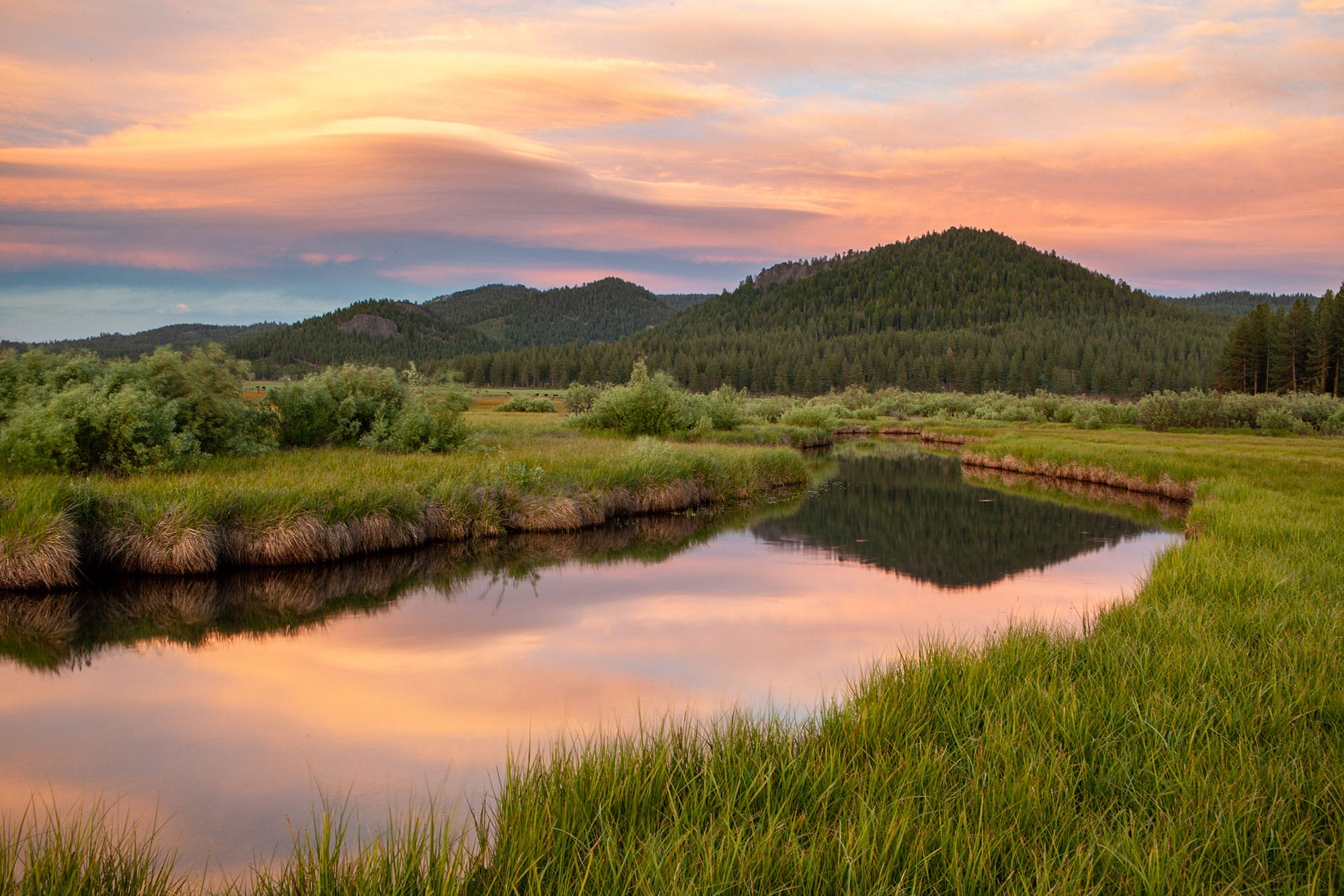 Mountain Meadows - Our Work in CA