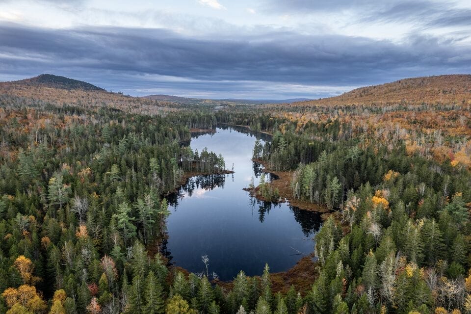 On Land, Language, and Leadership