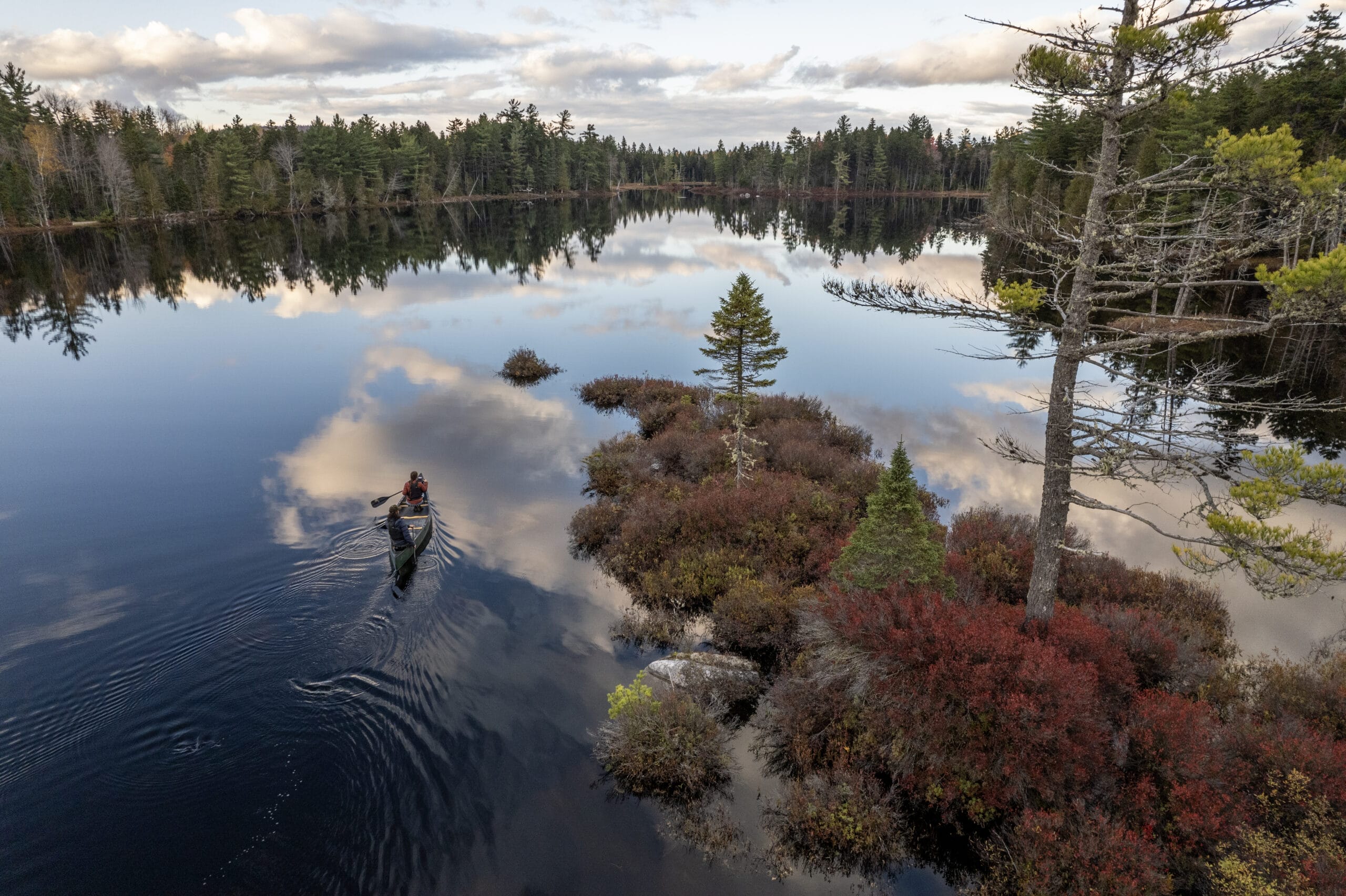 Aerial photograph of two people canoeing on a calm pond surrounded by pine trees.