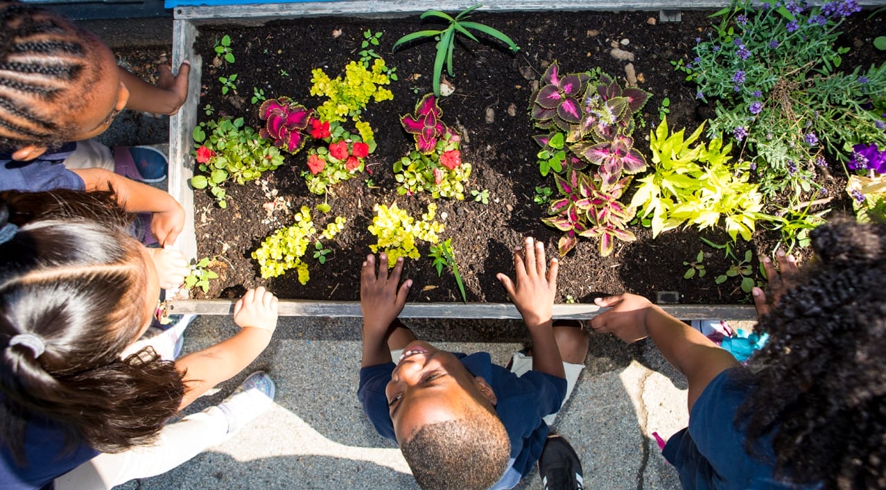 Children gather around and look at a raised garden bed filled with soil and colorful flowers, with one child placing hands on the soil.