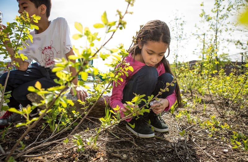 Kids need access to nature! Nature play and garden classrooms are a great way to infuse nature into schoolyard use. © JENNA STAMM