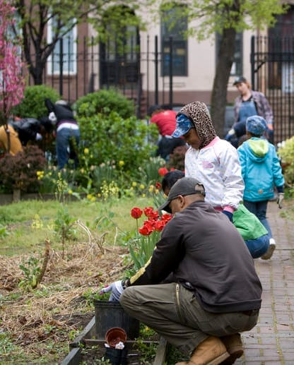 A Friends of the Schoolyard group is a great way to bring in the community,planning events, fostering a sense of shared stewardship, and troubleshooting when issues arise. © SETH SHERMAN