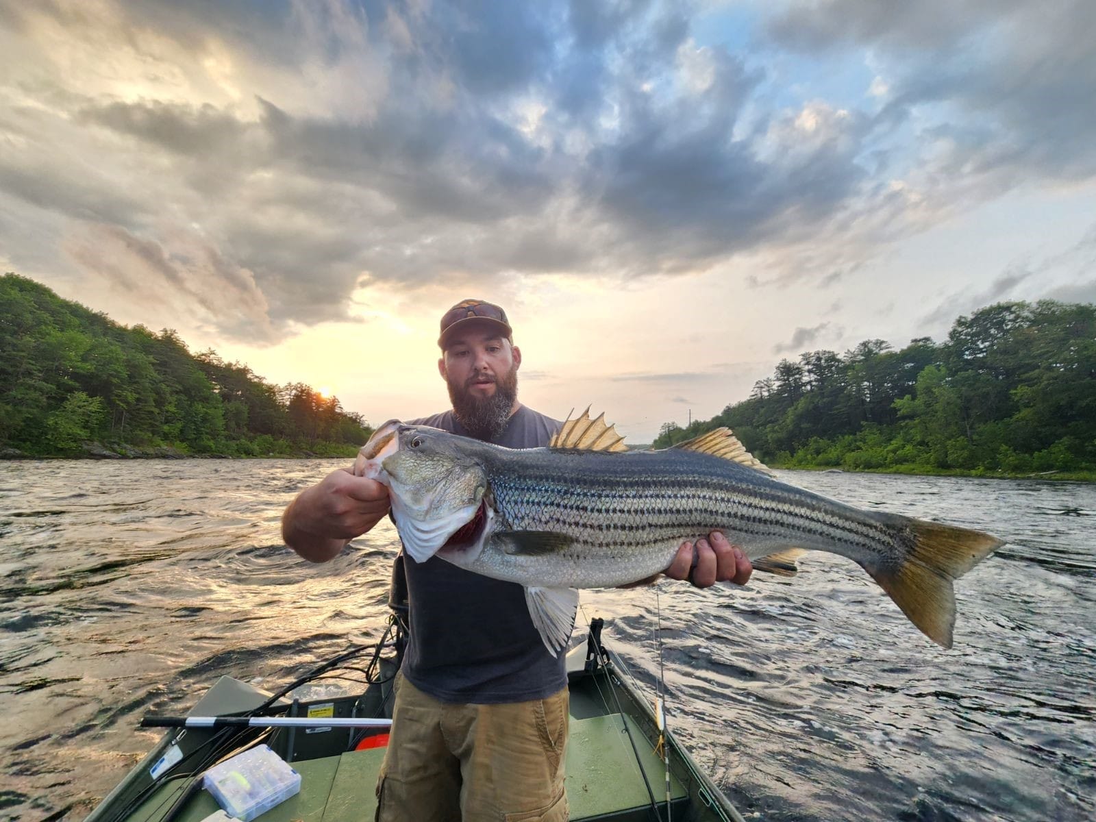 A bearded man wearing a baseball cap stands in a boat on a river under cloudy skies holding a large striped bass.