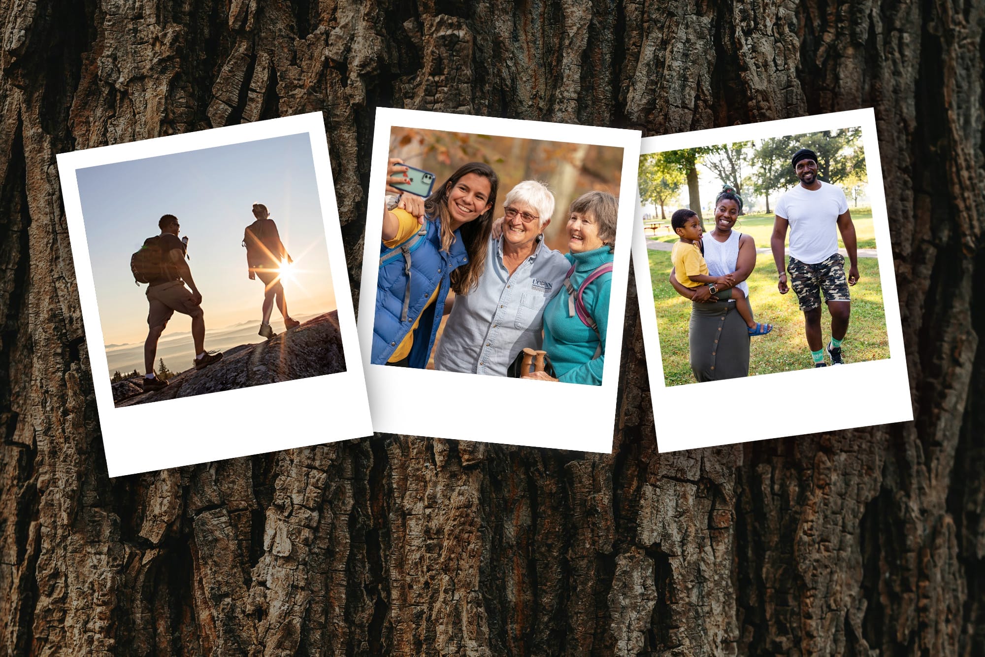 Polaroid photos of people celebrating in their local park against a background of tree bark.