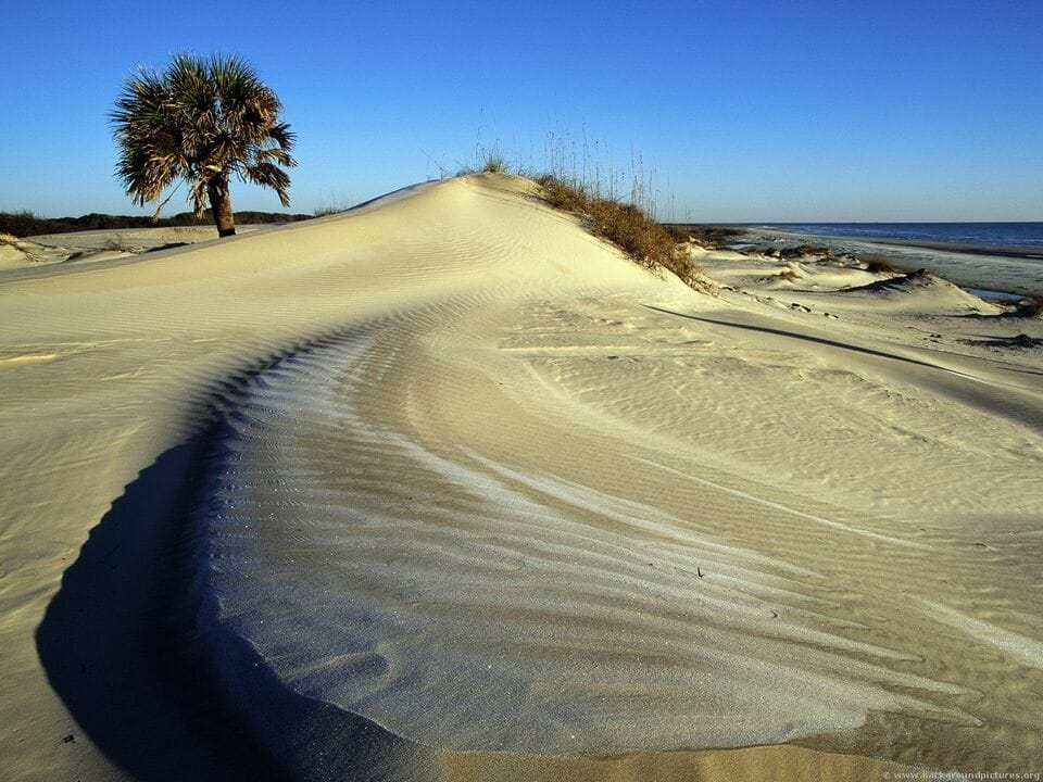 Cumberland Island National Seashore, Cumberland Island is Georgia's largest and southernmost barrier island off the coast of Georgia. Cumberland Island National Seashore., 2008, GA, Cumberland Island, Natural Lands, Cumberland Island National Seashore, Coastal, Courtesy of backgroundpictures.org