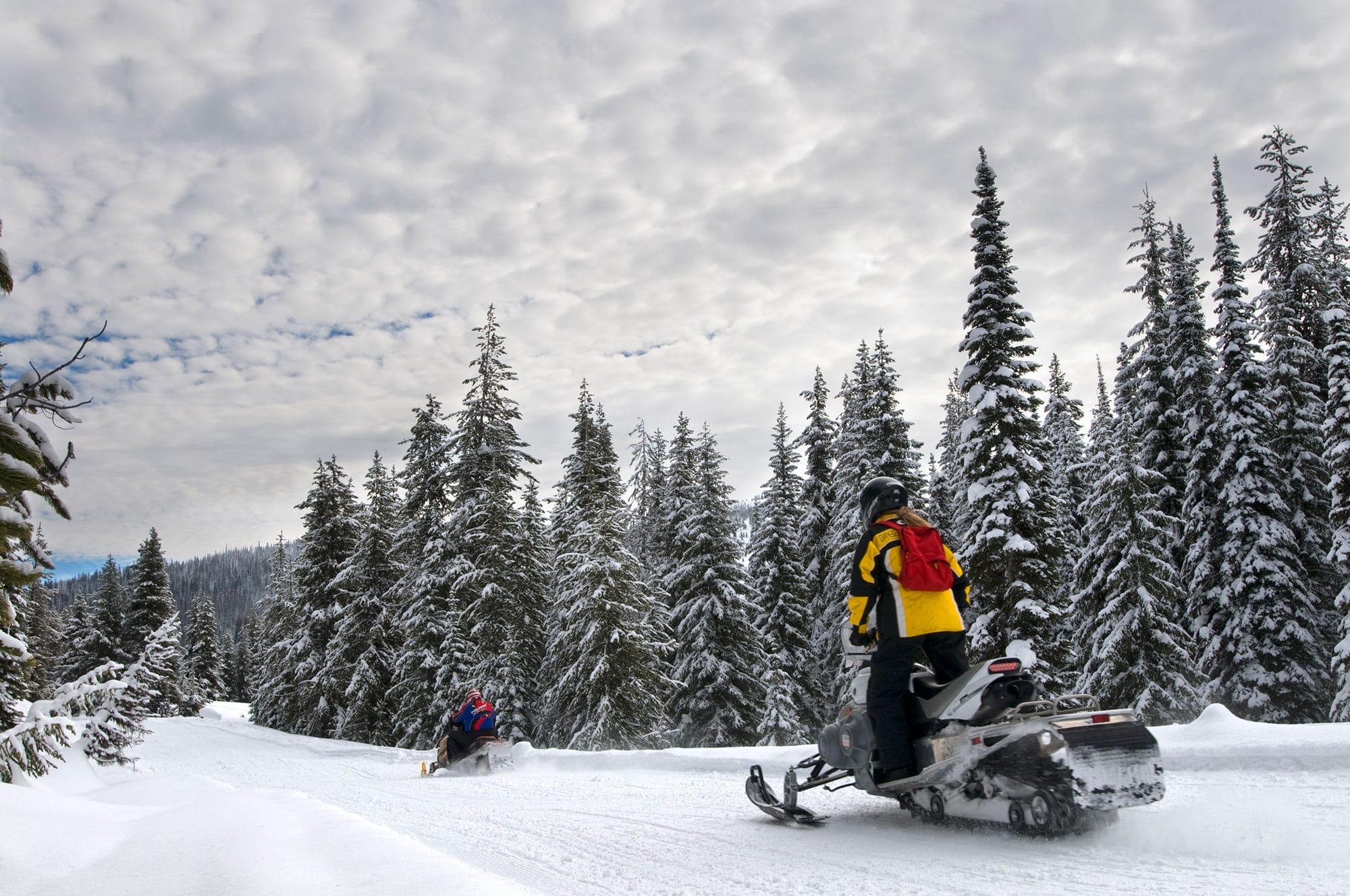 Two people on snowmobiles enjoy a snowy landscape at Lolo Pass