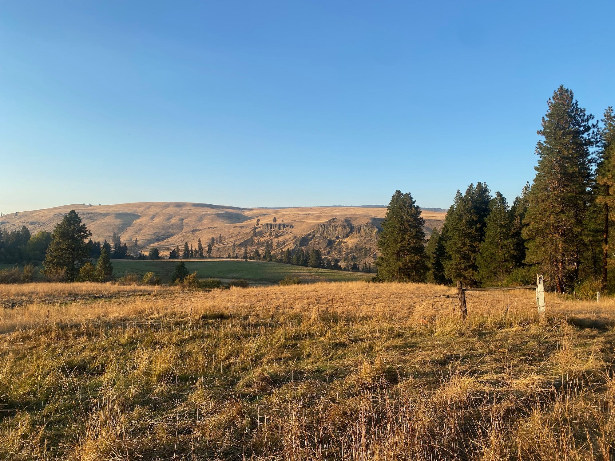 Springwood Ranch - Our Work in WA