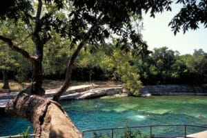 A swimmer enjoys the spring-fed waters of Barton Springs in Barton Creek