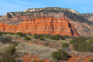 Palo Canyon