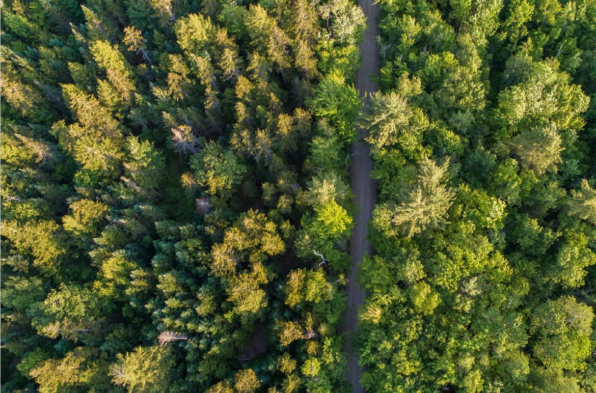 An aerial view of the forest in Jackson, NH. © Jerry and Marcy Monkman/EcoPhotography