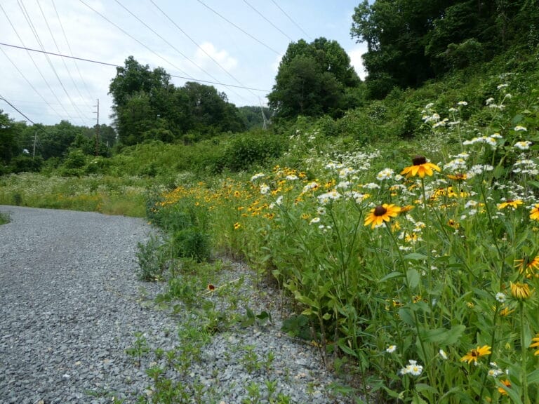 Growing Hope through Public Lands and Historic Preservation