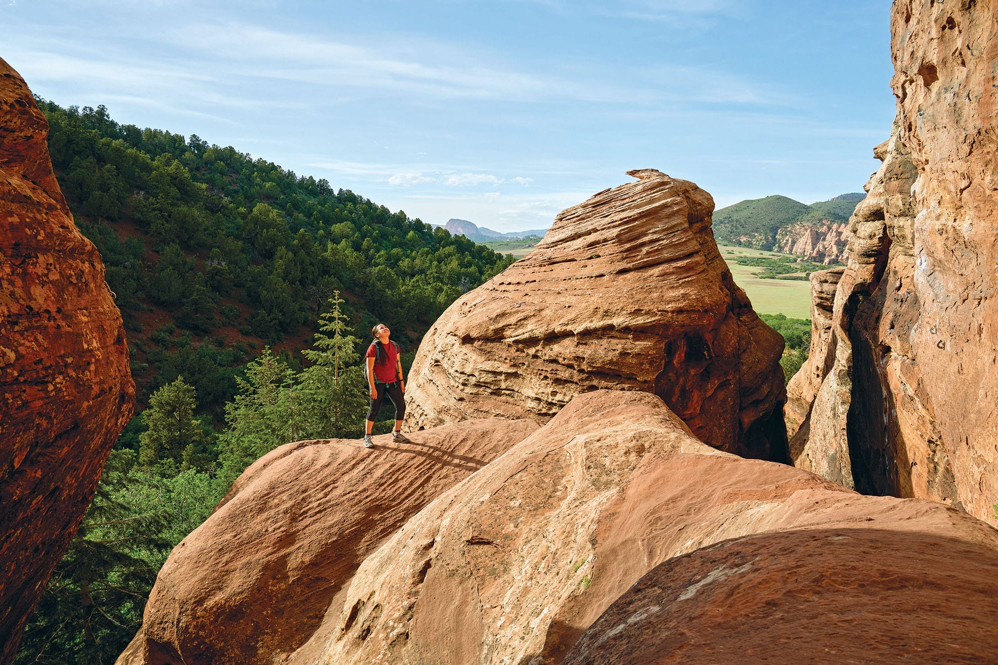 National Parks Inholdings Report