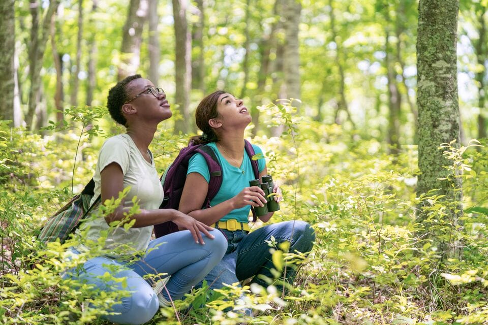 Two people kneel in a sunlit forest, looking up at the trees; one holds binoculars and both have backpacks.